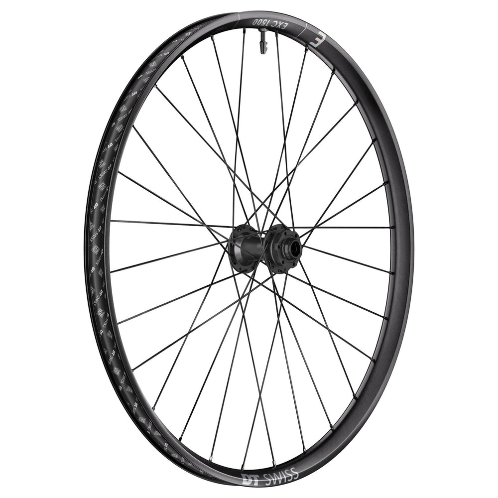 DT Swiss EXC 1500 Classic Front Wheel, 29", 20x110 Boost