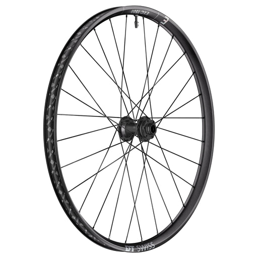 DT Swiss EXC 1500 Classic Front Wheel, 29", 20x110 Boost
