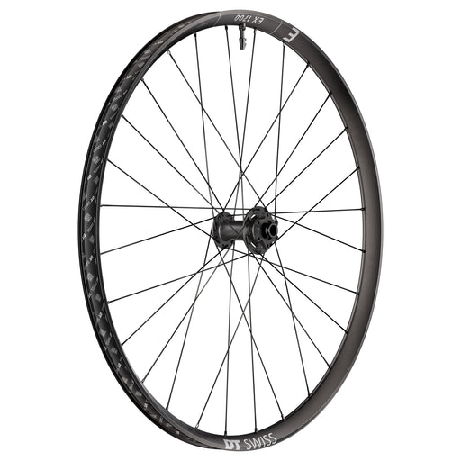 DT Swiss EX 1700 Classic Front Wheel, 29", 15x110