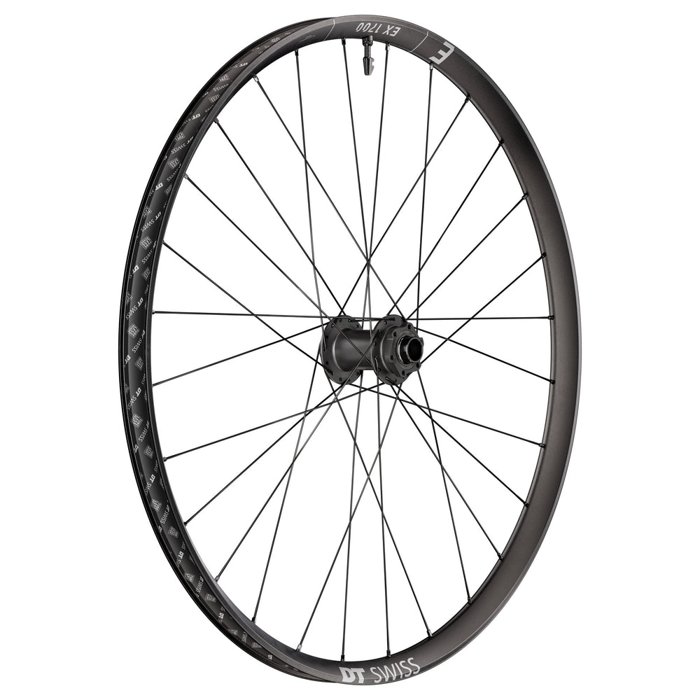 DT Swiss EX 1700 Classic Front Wheel, 29", 20x110 Boost