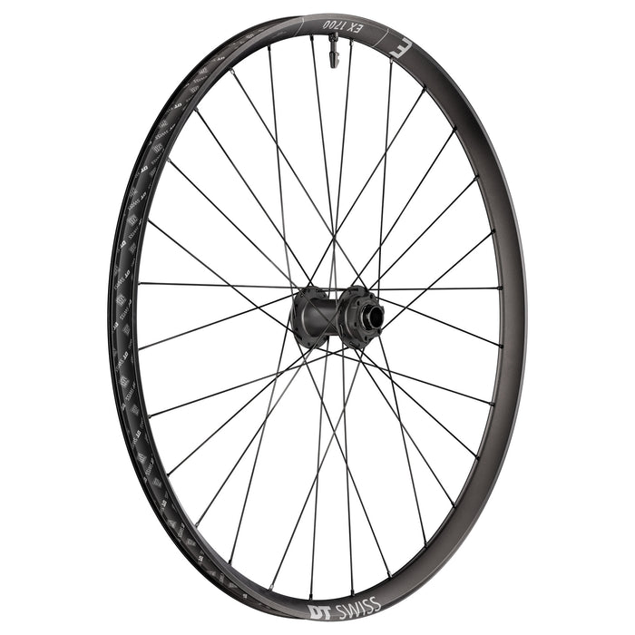 DT Swiss EX 1700 Classic Front Wheel, 29", 20x110 Boost