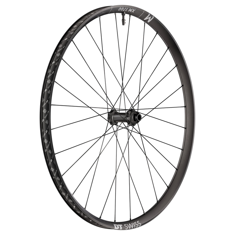 DT Swiss XM 1700 Spline Front Wheel, 29", 15x110
