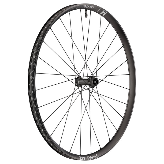 DT Swiss XM 1700 Spline Front Wheel, 29", 15x110