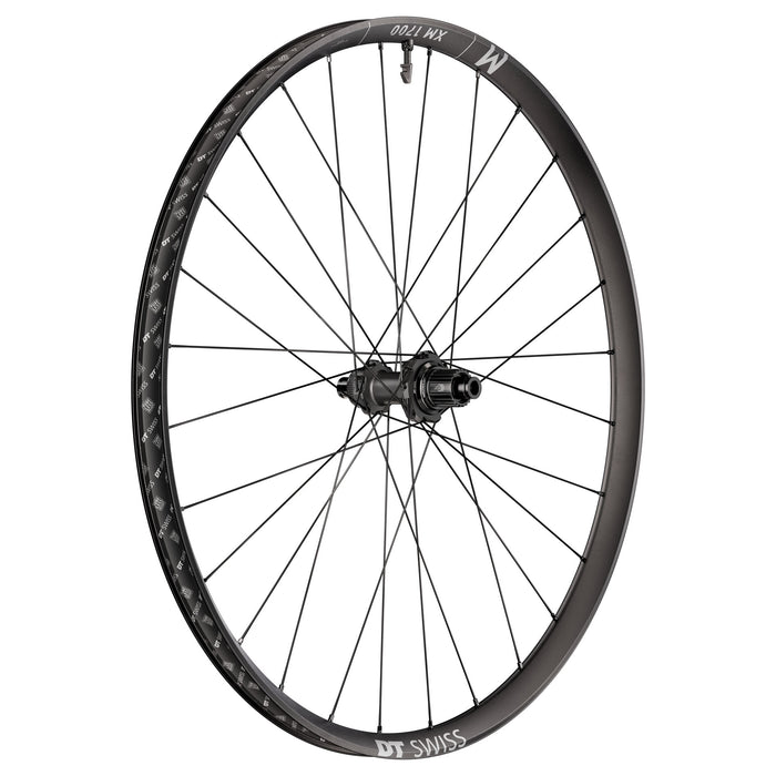 DT Swiss XM 1700 Spline Rear Wheel, 29", 12x148, MS