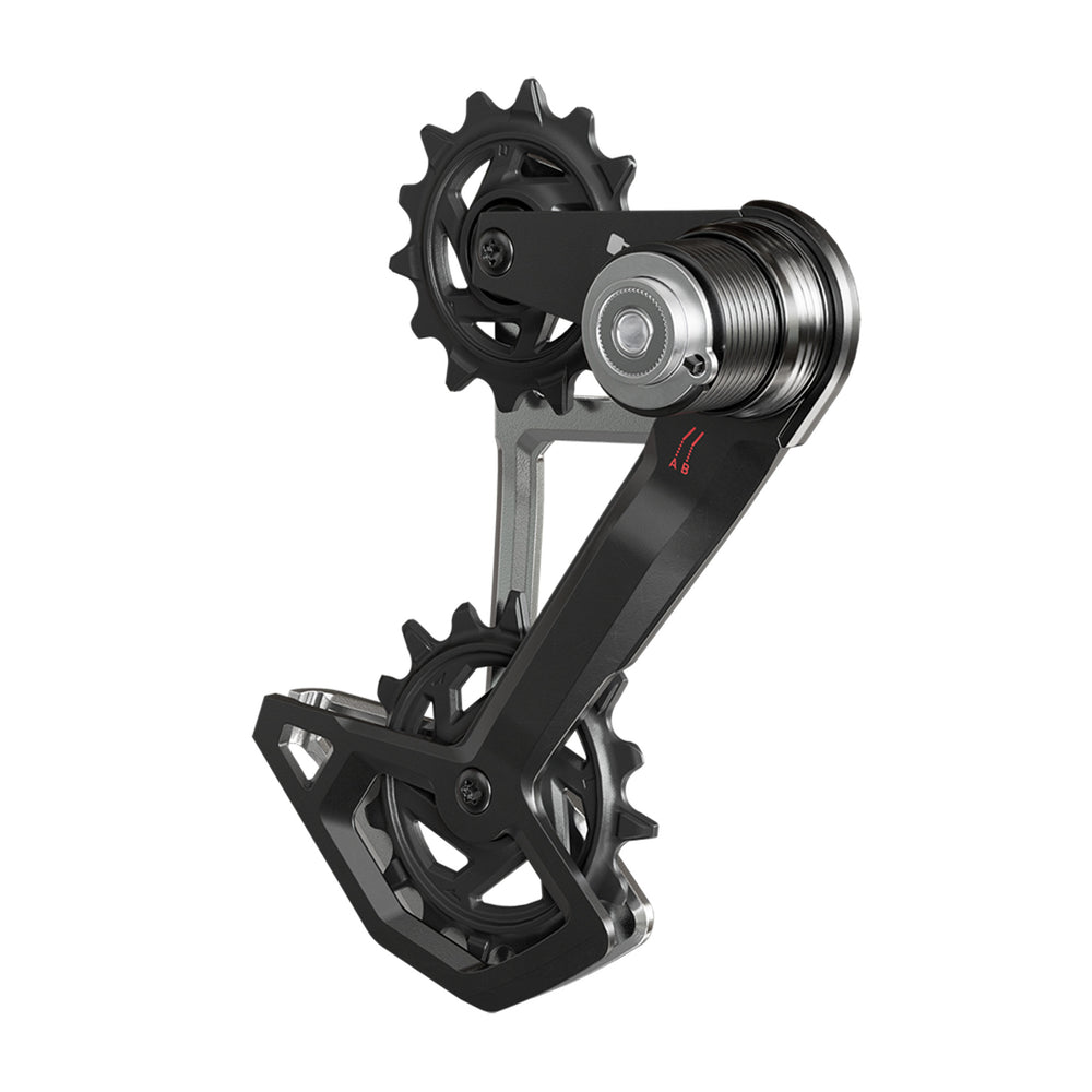 SRAM Eagle 90 T-Type AXS Replacement Cage
