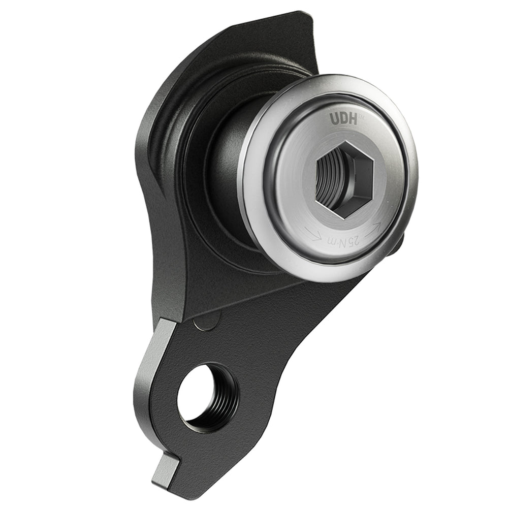 SRAM Universal Derailleur Hanger, Black/Silver