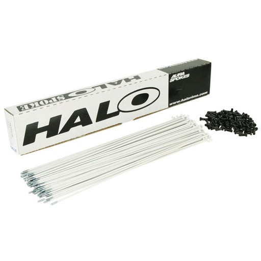 Halo Aura Spoke, White 14g - Box/100 256mm