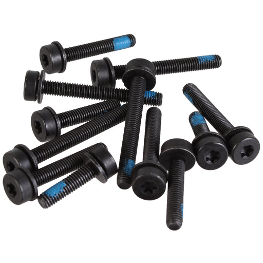 Magura Flat Mount Screw Set, Rear - Pack of 12