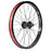 Odyssey Hazard Lite Freecoaster Rear Wheel - 20", 14 x 110mm, Rim Brake, RHD Freecoaster, Hard Black, Clincher