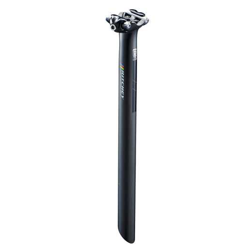 Ritchey WCS-Carbon 1-Bolt post, (0mm offset) 31.6x400