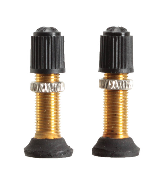 Stan's Schrader Valve Stem, 32mm Universal, Pair