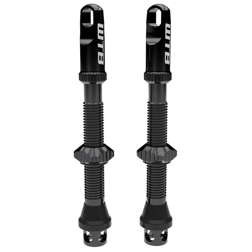 WTB TCS Alloy Max-Flow Presta Valve Stem, 55mm, Blk, Pair