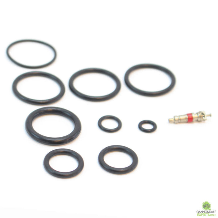 CannondaleExperts.com Cannondale Lefty 32mm 1.0 Abbreviated 100 Hour Seal Kit