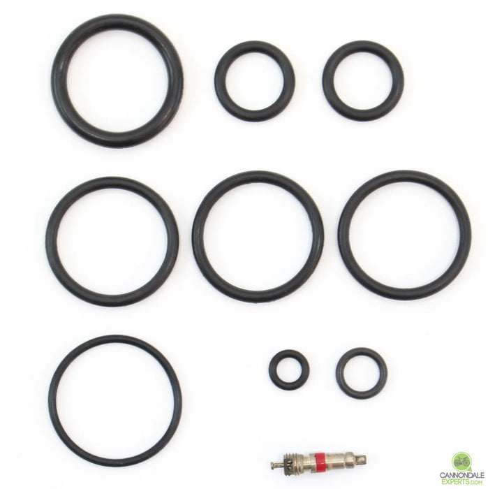 CannondaleExperts.com Cannondale Lefty 36mm 1.0 Abbreviated 100 Hour Seal Kit