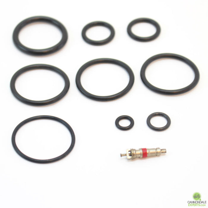 CannondaleExperts.com Cannondale Lefty 36mm 1.0 Abbreviated 100 Hour Seal Kit