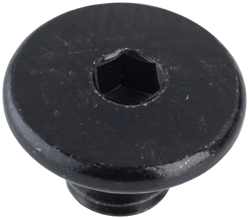 Shimano SLX BL-M666 and Deore BL-M596 Bleed Screw and O-Ring, B-fit for XT BL-M8000 and BL-M785