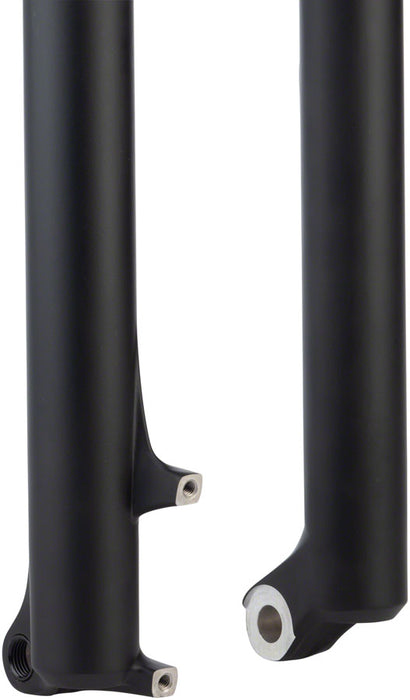 RockShox Lower Leg: Lyrik B1/Yari 29", 15X100, Diffusion Black