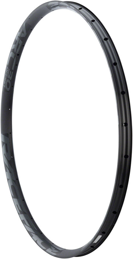 Race Face ARC 30 Rim - 29", Disc, Black, 28H, Offset