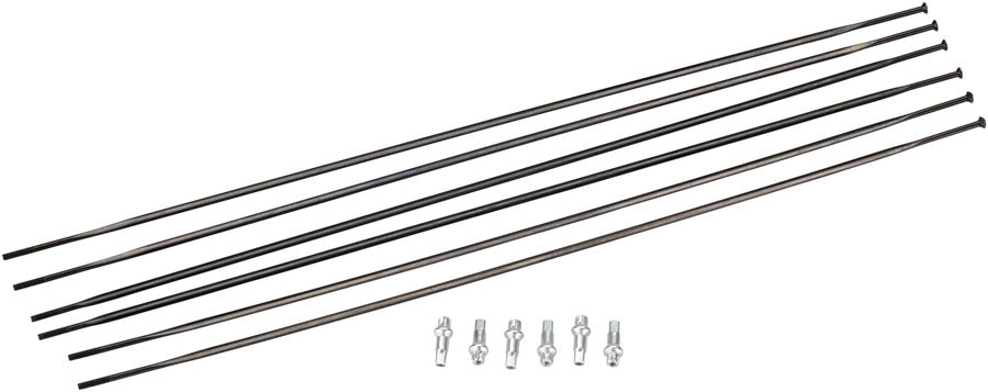 DT Swiss PR1600 DiCut 21 RB Spoke Kit: Front & Rear, Black