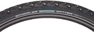 Schwalbe Marathon Winter Plus Studded w Tire, 29 x 2.0"