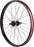 Odyssey Hazard Lite Rear Wheel - 24", 14 x 110mm, Rim Brake, Cassette, RHD/LHD, Hard Black, Clincher