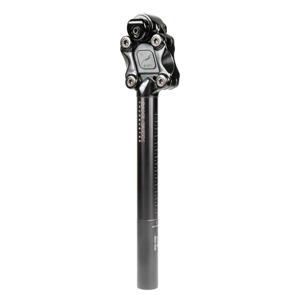Cane Creek G4 Thudbuster ST Seatpost, 31.6 x 375mm