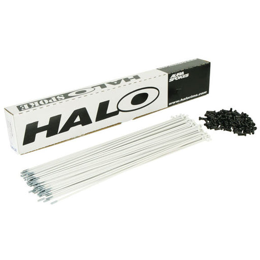 Halo Aura Spoke, White 14g - Box/100 264mm