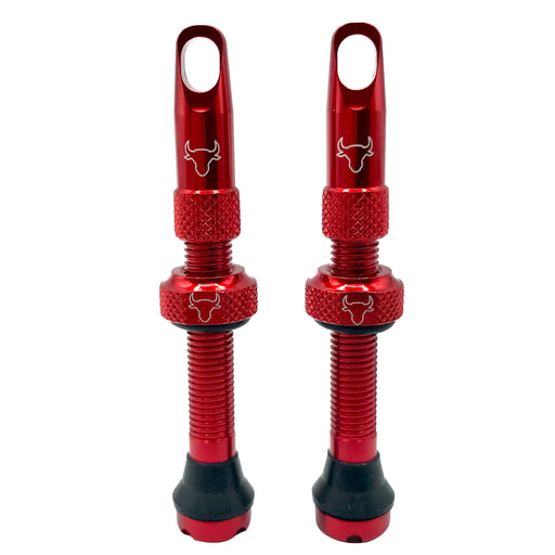 Hold Fast Cycling Tubeless Valve Stem, 42mm (Pair) - Red