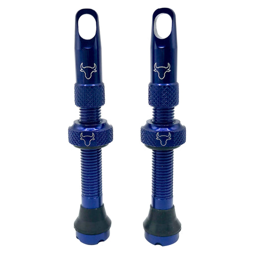 Hold Fast Cycling Tubeless Valve Stem, 42mm (Pair) - Blue