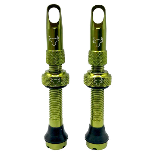 Hold Fast Cycling Tubeless Valve Stem, 42mm (Pair) - Green