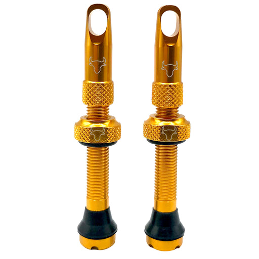 Hold Fast Cycling Tubeless Valve Stem, 42mm (Pair) - Gold
