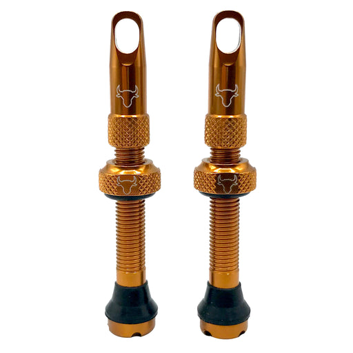 Hold Fast Cycling Tubeless Valve Stem, 42mm (Pair) - Bronze