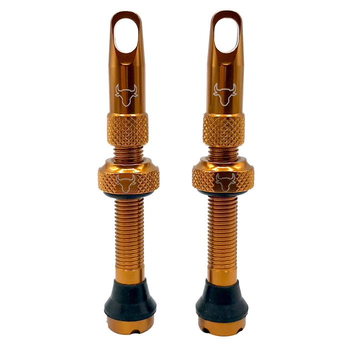 Hold Fast Cycling Tubeless Valve Stem, 42mm (Pair) - Bronze