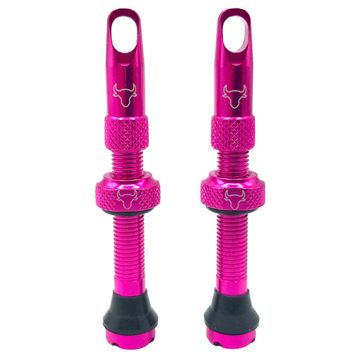 Hold Fast Cycling Tubeless Valve Stem, 42mm (Pair) - Pink