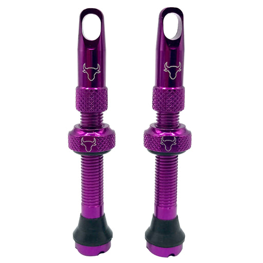Hold Fast Cycling Tubeless Valve Stem, 42mm (Pair) - Purple