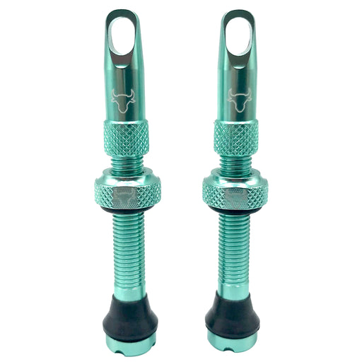 Hold Fast Cycling Tubeless Valve Stem, 42mm (Pair) - Turquoise
