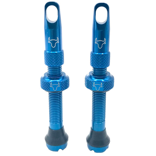 Hold Fast Cycling Tubeless Valve Stem, 42mm (Pair) - Sky Blue
