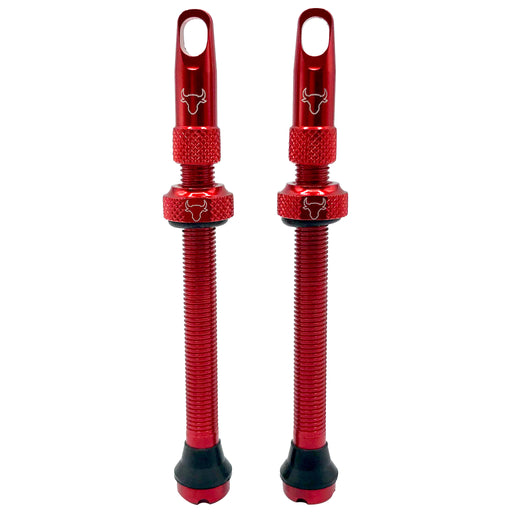 Hold Fast Cycling Tubeless Valve Stem, 65mm (Pair) - Red