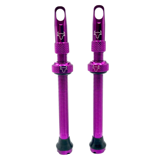 Hold Fast Cycling Tubeless Valve Stem, 65mm (Pair) - Purple
