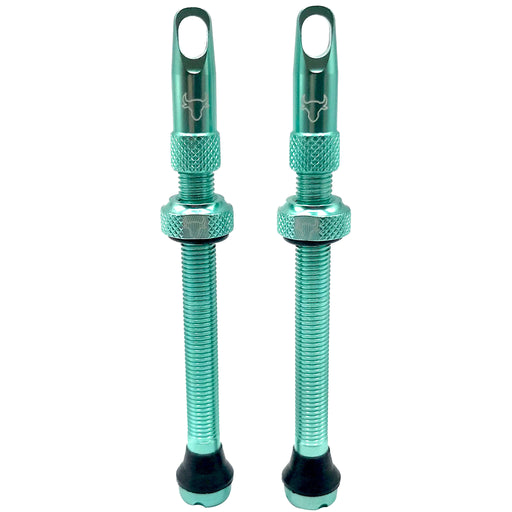 Hold Fast Cycling Tubeless Valve Stem, 65mm (Pair) - Turquoise