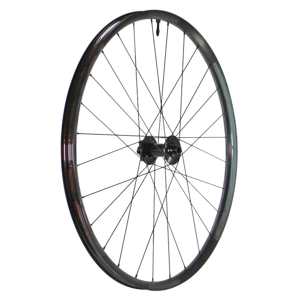 Race Face Aeffect-R 29" Front Wheel, 15x110 Boost, Black